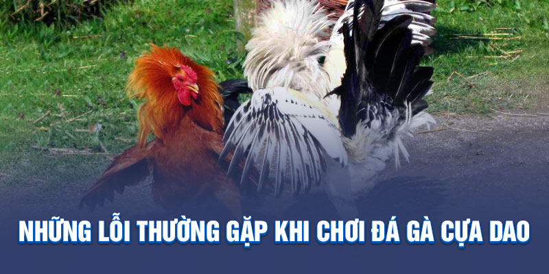 Những lỗi thường gặp khi chơi đá gà cựa dao